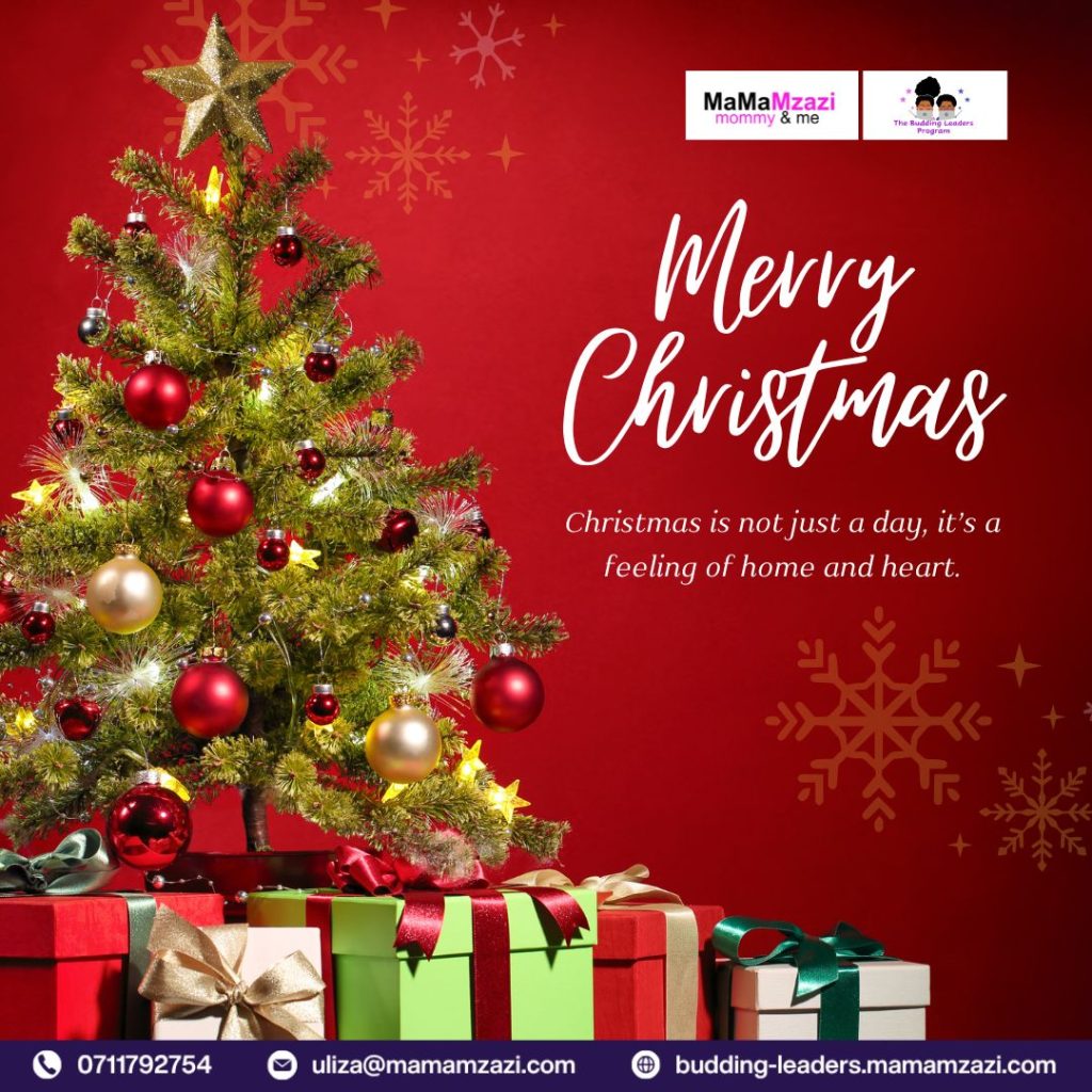 Merry Christmas and Happy Holidays